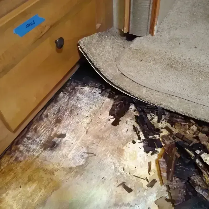 Wood Floor Water Damage in Point Marion, PA